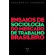 Ensaios de sociologia do mercado de trabalho brasileiro