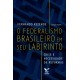 O federalismo brasileiro em seu labirinto: crise e necessidade de reformas