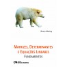 Matrizes, Determinantes e Equações Lineares - Fundamentos